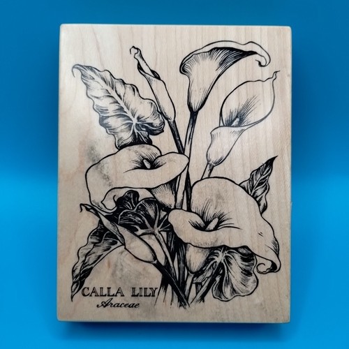PSX Floral Botanical Flower Wood Rubber Stamps Calla Lily Viola Hibiscus Iris - Picture 4 of 23