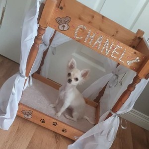 four poster dog bed