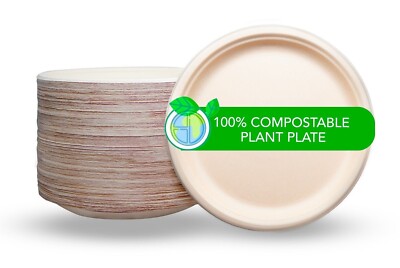 100% Compostable Paper Plates 9 Inc,10 Inc,10 Inc divider - 500 Count Heavy-Duty