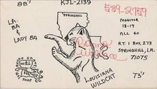 vintage CB radio QSL postcard comic Donna Wallace 1970s Springhill Louisiana