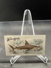 2025 Topps Allen & Ginter 