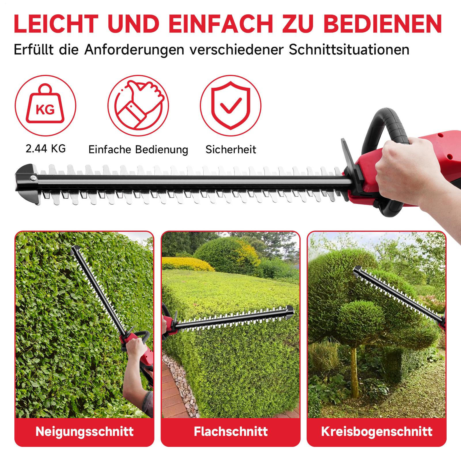 Bild 8 von 13