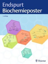 Endspurt Biochemieposter | Poster | 9783132445833