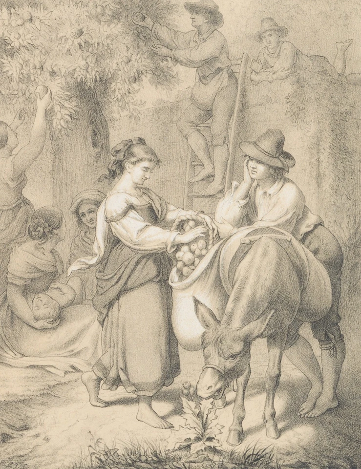 September. Bei der Apfelernte, um 1850, Lith. Biedermeier Unbekannt (19.Jhd) - Bild 3 von 4