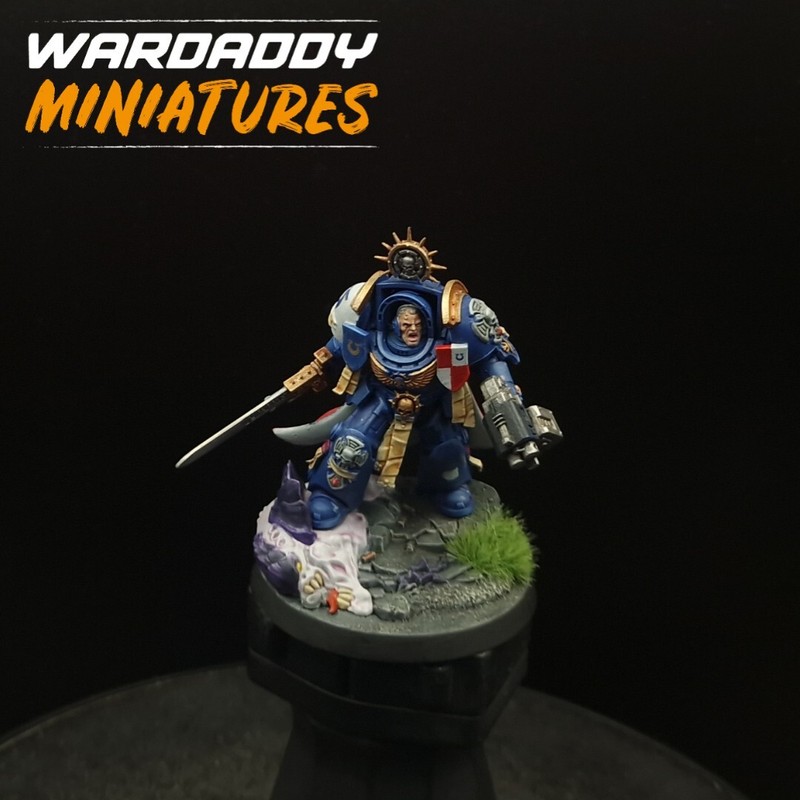 Pro Painted Warhammer 40k Ultramarines Terminator Captain Games Workshop