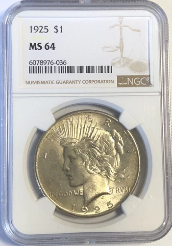 1925 PEACE DOLLAR "NGC MS64" - BEAUTIFUL COLOR, HIGH POINTS - HAIR & PEACE!💥 ✅
