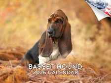 Basset Hound Dog Breed Calendar 2026 12x18 Made in USA
