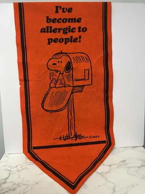 60s Vintage peanuts banner 【SNOOPY】 4 VINTAGE ORIGINAL 1960s PEANUTS GANG CHARLIE BROWN FELT