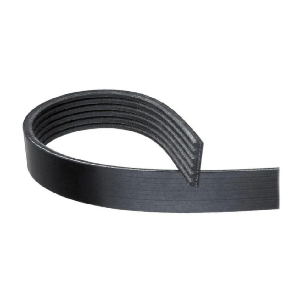 Cinturón Serpentine ACDelco genuino para BMW 335i/335is 2011 | Negro | 7 costillas 88932842 Foto 3 de 4