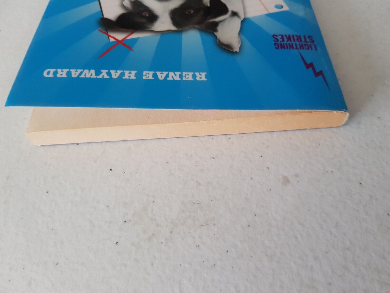 Bild 9 von 9