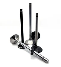 SBI Part # 10806 Engine Intake Valve