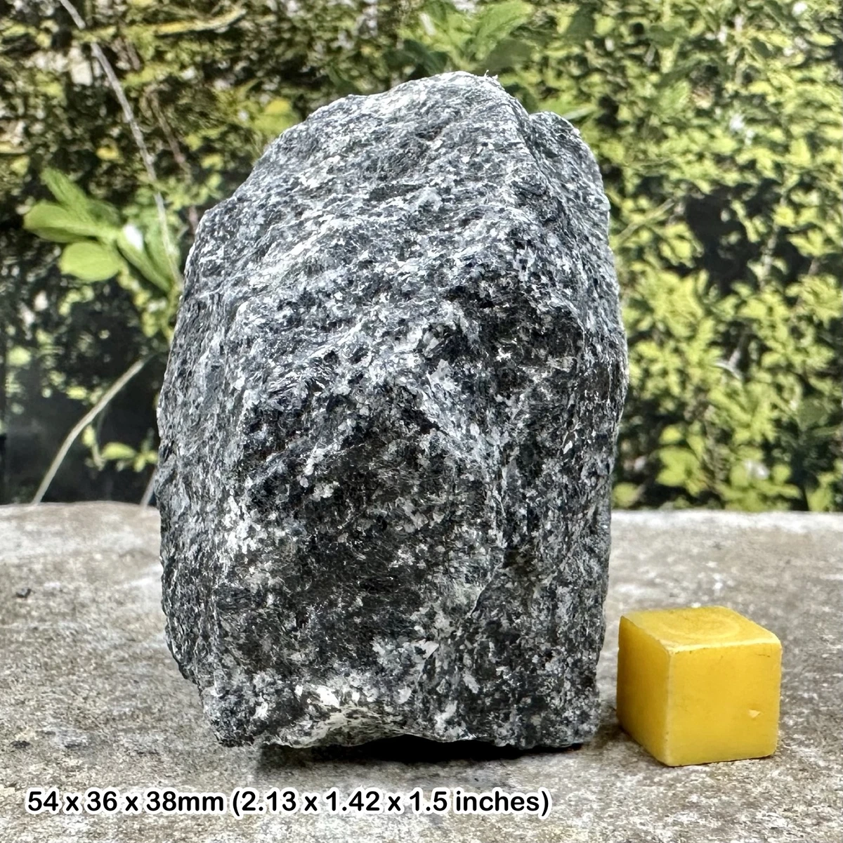 Hornblende gneiss, metamorphic rock, geology sample, norway, genuine | eBay