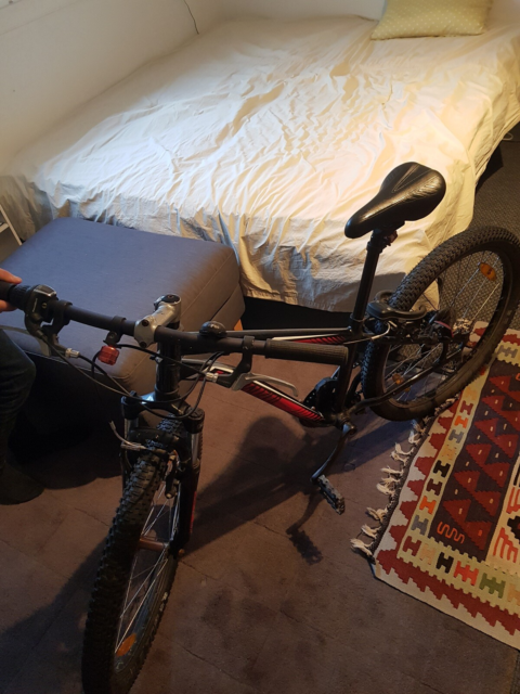 Unisex børnecykel, mountainbike, Specialized, HOTROCK, 24…