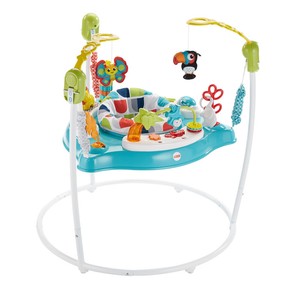 fisher price jumperoo ebay
