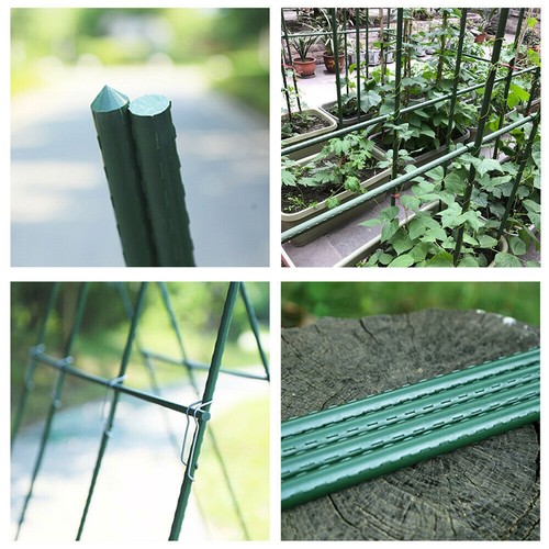 Set of 40 Hydroponics Garden Plant Stakes Support Sticks Canes Pole Grow Tools - Picture 6 of 16