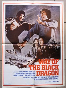 Way Of The Black Dragon Ron Van Clieff x27 Lebanese Kung Fu Movie Poster 70s Ebay