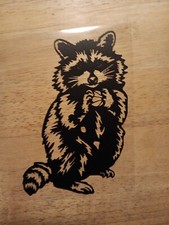 Raccoon Decal