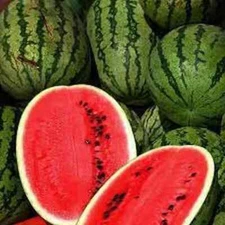 50 All Sweet Watermelon Seeds. USA Seeds. Organic. Ships free