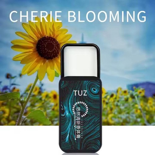 Solid Perfume Portable Long Lasting Aromatherapy Fragrances Deodorant Aroma D5G0 - Picture 21 of 24