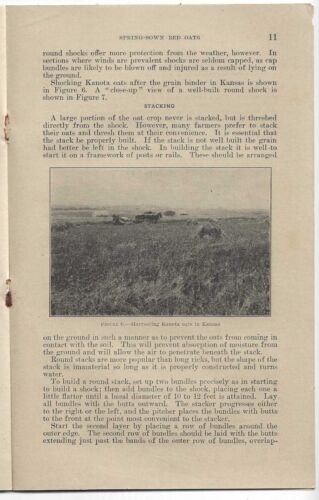Bollettino degli agricoltori 1929 n. 1583 PRIMAVERA - AVENA ROSSA SEMINATA Dipartimento Agricoltura - Foto 4 di 5