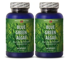 Algal Toxins - BLUE GREEN ALGAE ORGANIC - Organic Supplements 2 Bottles 120 Caps