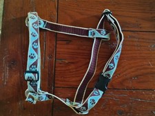 Small Dog Halter Harness