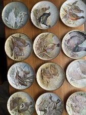 Franklin Mint “Game Birds Of  The World” 1979 HavilandLimoges Complete Set Of 12