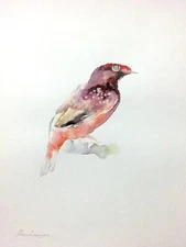 Copping,  Birds, Watercolor artwork, Handmade, Original painting on paper