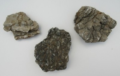 florari 1kg Pagodenstein