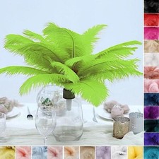24 pcs 13-15" long Genuine Ostrich FEATHERS for Wedding Party Centerpieces SALE