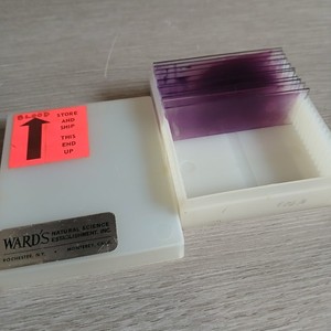 Wards Science Prepared Glass Slides Specimen Medical Samples Small Lot