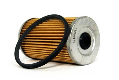 61633271 Auto Extra Fuel Filter 33271 CG20 GF62P 33271MP Ford Mustang 64-65 FG1A