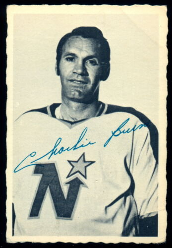 1970-71 OPC O PEE CHEE DECKLE EDGE #13 CHARLIE BURNS VG-EX Minnesota north stars - Picture 1 of 1
