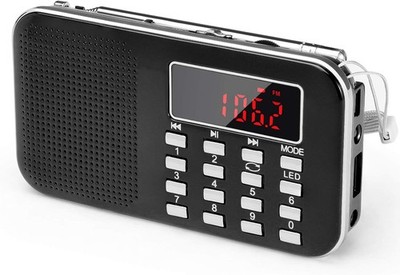 PRUNUS L-218AM Portables Mini Radio AM(MW)/UKW FM/TF Card/USB/MP3, 1200mAh Akku