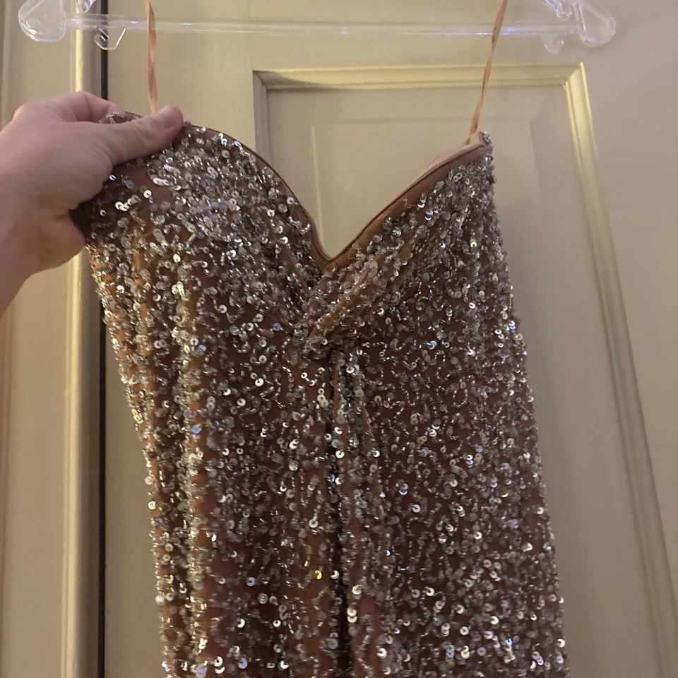 retrofete Evie Dress in Silver & Nude Size XS ..$1095 - Image 4 of 4