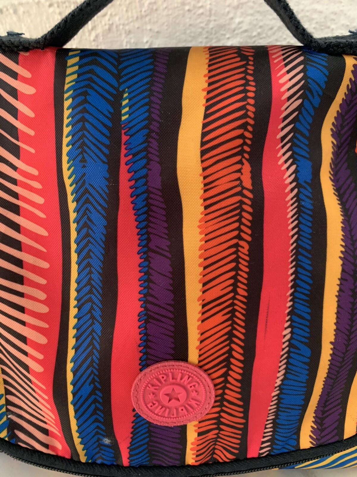 Kipling Ridge Print Colorful Lunch bag Gem