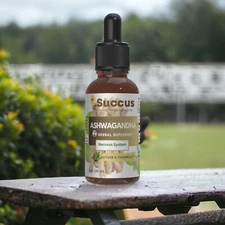 Ashwagandha Tincture (Withania somnifera) - Alcohol Free - MySuccus