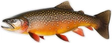 Brook Trout Fish Sticker Laptop Tacklebox Car Window Decal Amazing Detail 5"x2"