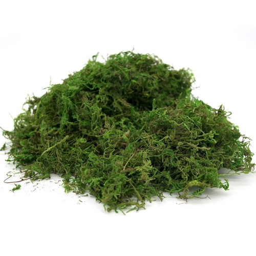 Usmola Fake Moss Artificial Green Moss for Potted Plants Fairy Garden Access - Picture 2 of 7
