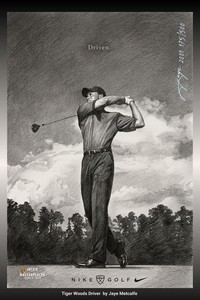 Nike Tiger Woods Poster | eBay