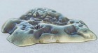 Gold Country Nugget (GeoTour) Geocoin - Activated & Adoptable - TB31NQ0 — photo 3