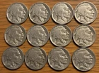 BUFFALO Nickel: Starter Set, 1926-1938: PDS Mints, VG-VF, Lot of 12 Different