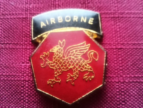 Pin's militaire infanterie de marine - Broches - Pin's (13713635