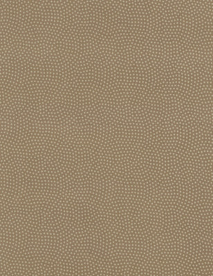 Stoff 100% Baumwolle Timeless Treasures Spin Earth 1/2 Meter verkauft