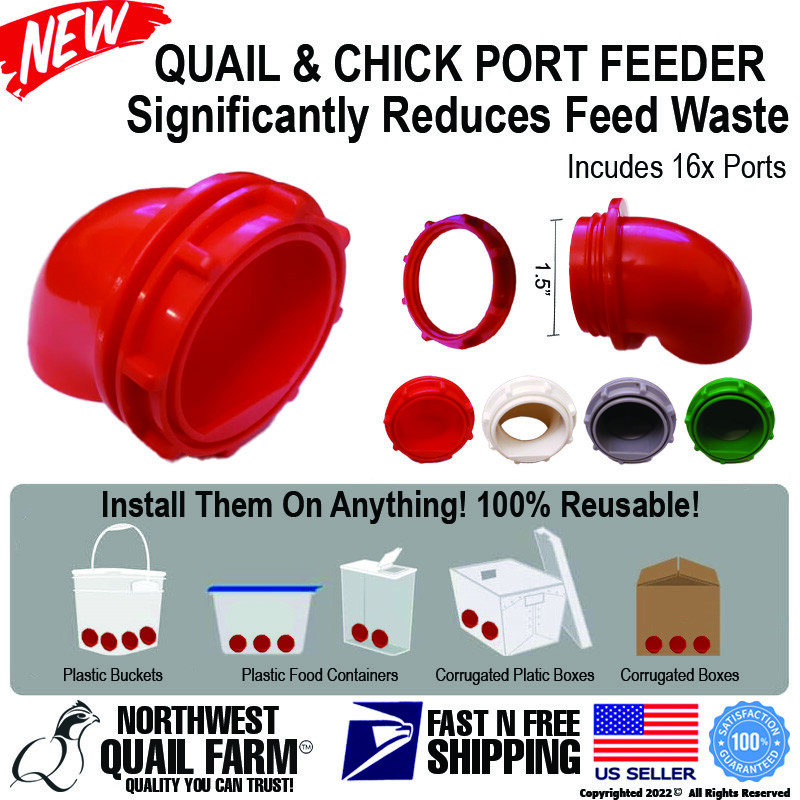 Curated visual reference: Chicken Quail Feed Converter Reference: Quail Baby Chick Port Feeder 16 Feeder Ports No Waste