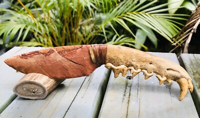 Native Jasper Natural Gemstone Blade Knife Coyote Jaw Flint Knap Knapping Art