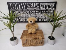 build a bear brown fuzzy bear / sn3538