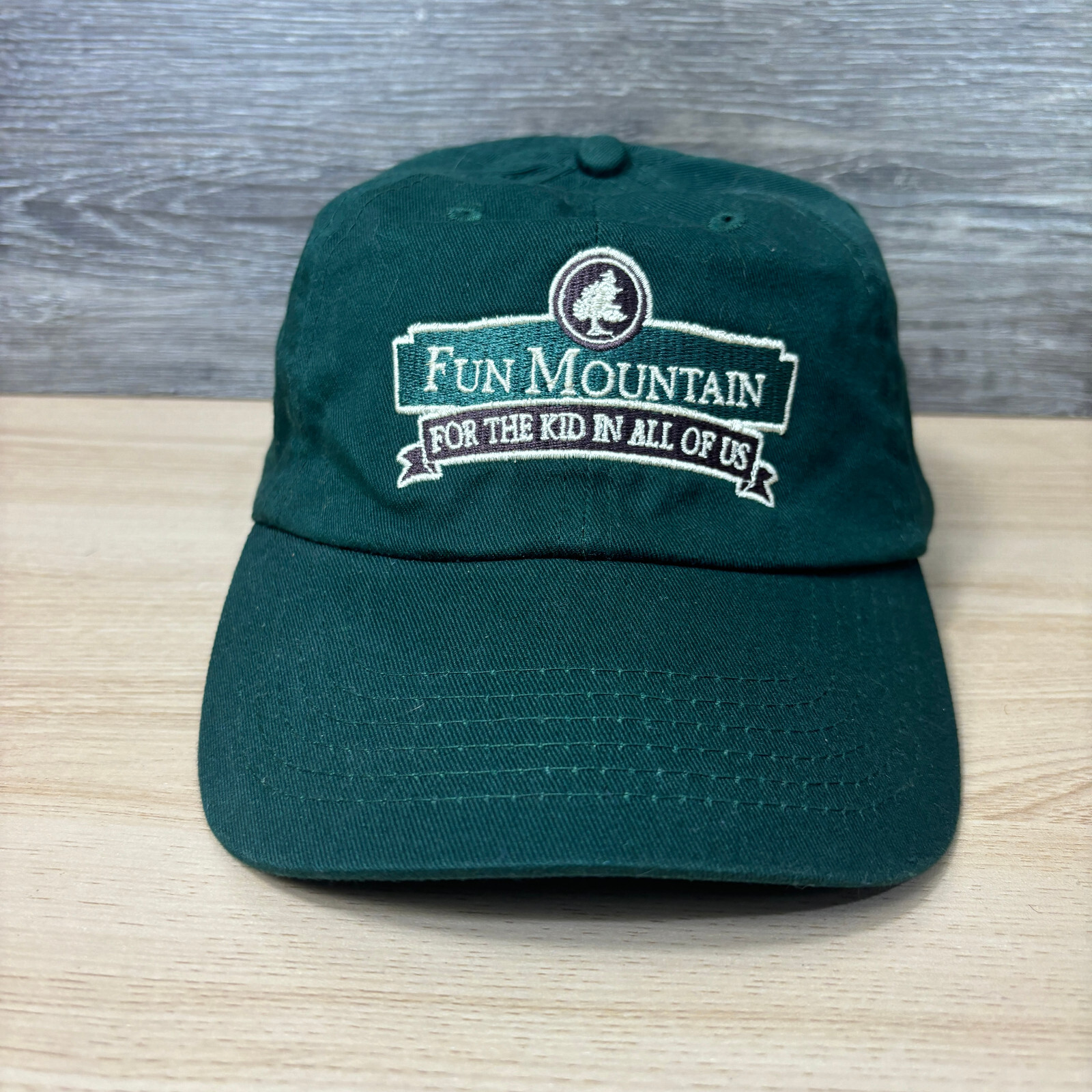 Fun Mountain Hat Cap Strap Back Green Ridgedale M… - image 1