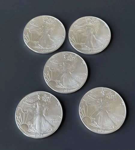 2025 American Silver Eagle $1  Silver Bullion Coins ( Lot Of 5 )