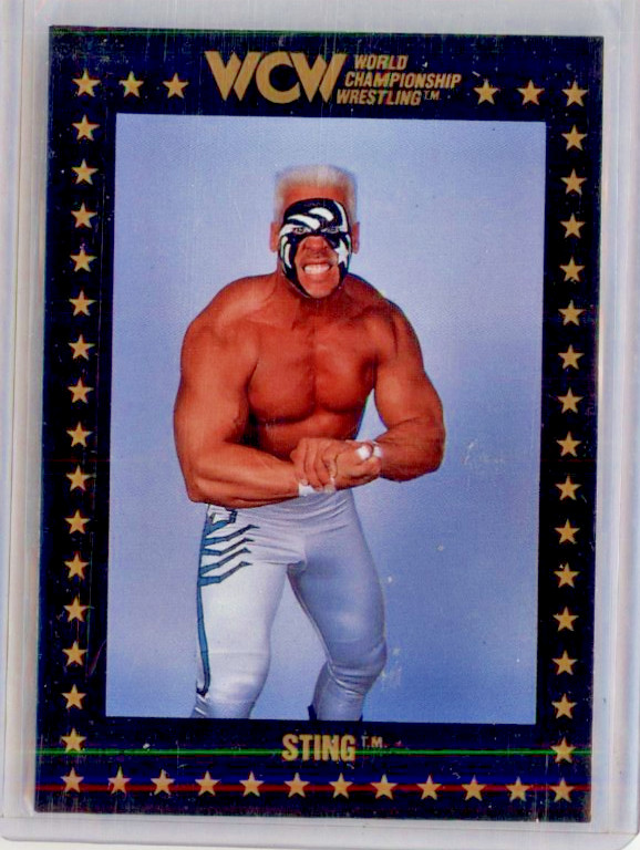 1991 Championship Marketing WCW Sting #49